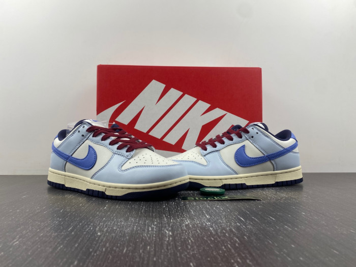 nike dunk low from nike to you fv8113-141